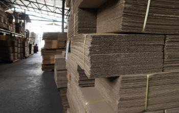 papierindustrie houtindustrie